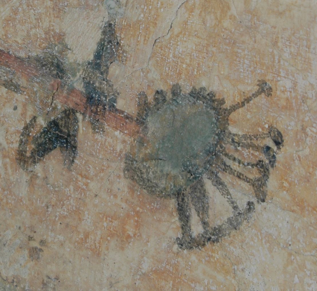 Corona-Virus 15. Jh.